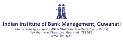 IIBM Logo